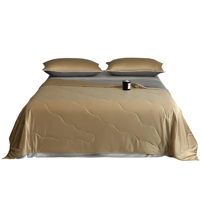 Fuchier Porong Shine Satin Summer Quilt