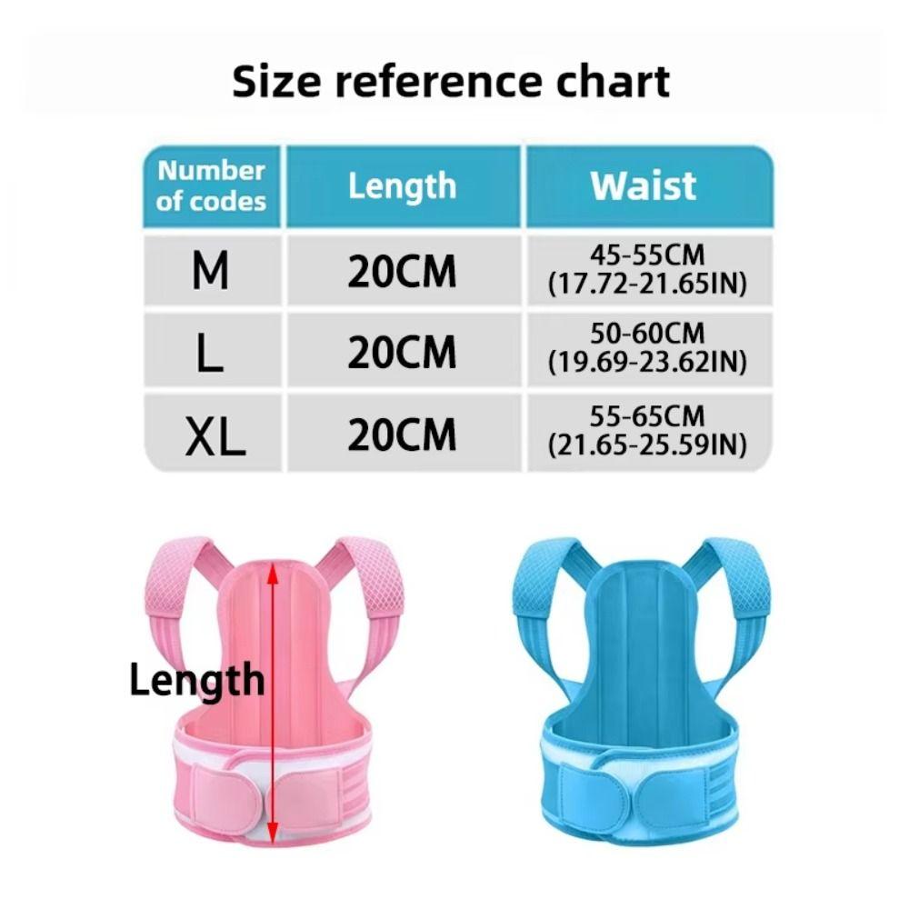 Full Back Back Posture Corrector Polyester Back Brace Posture Corrector Back Straightener  Office