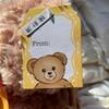 [USED] Daiso's teddy bear backpack