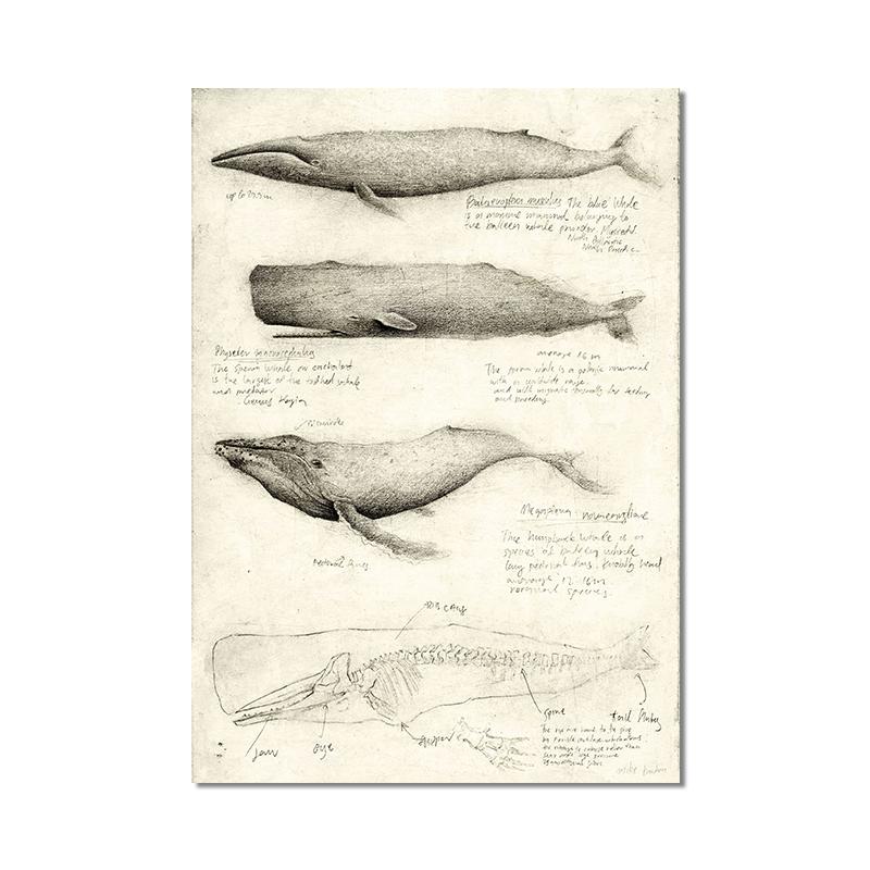 Vintage Fox Butterfly Deer Insect Note Retro Poster Mushrooms Canvas Painting Wall Art Print Wall Pictures for Living Room Decor