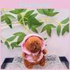 Charming Capybara Plush Keychain With Soft Fabric And Unique Colorful Styles