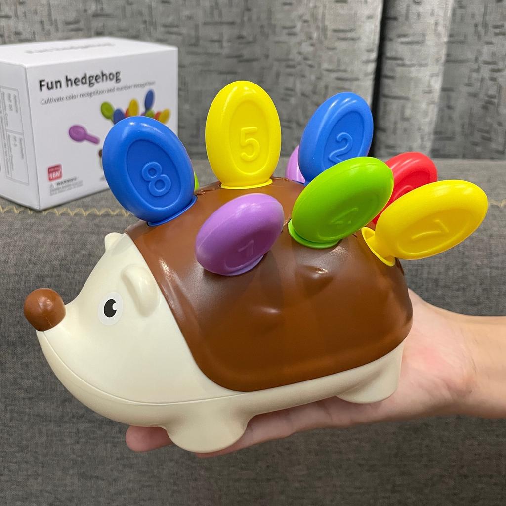 Colored Hedgehog Toys for Toddlers - Enhance Hand-eye Coordination, Problem-solving, and Critical Thinking