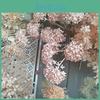 Artificial Hydrangea Snowball Stems Multibranch For Wedding Home Gift Decor