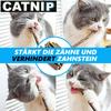 CATNIP Matatabi Chew Sticks Cats Wood Catnip Catnip Dental Care Teeth 20pcs