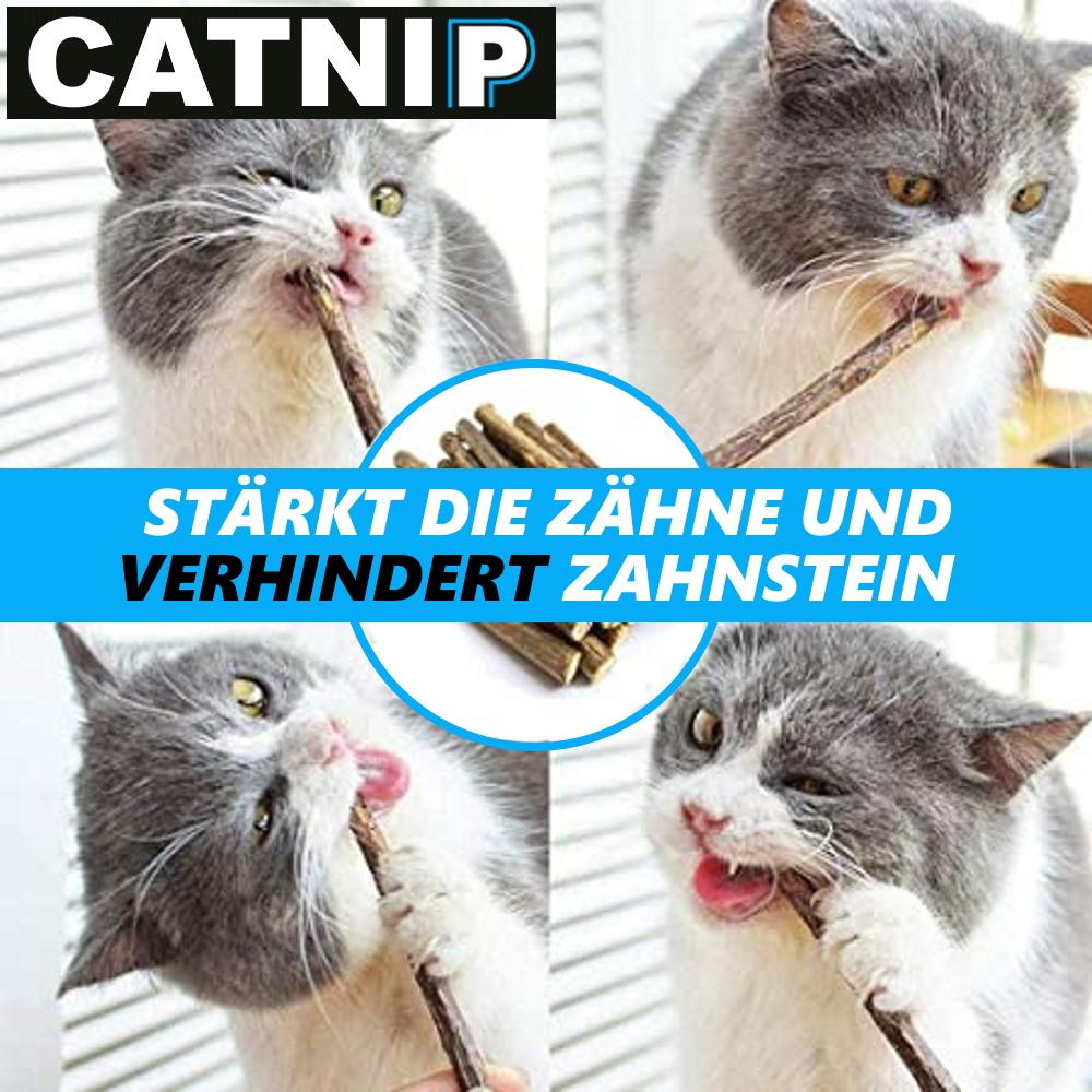 CATNIP Matatabi Chew Sticks Cats Wood Catnip Catnip Dental Care Teeth 20pcs