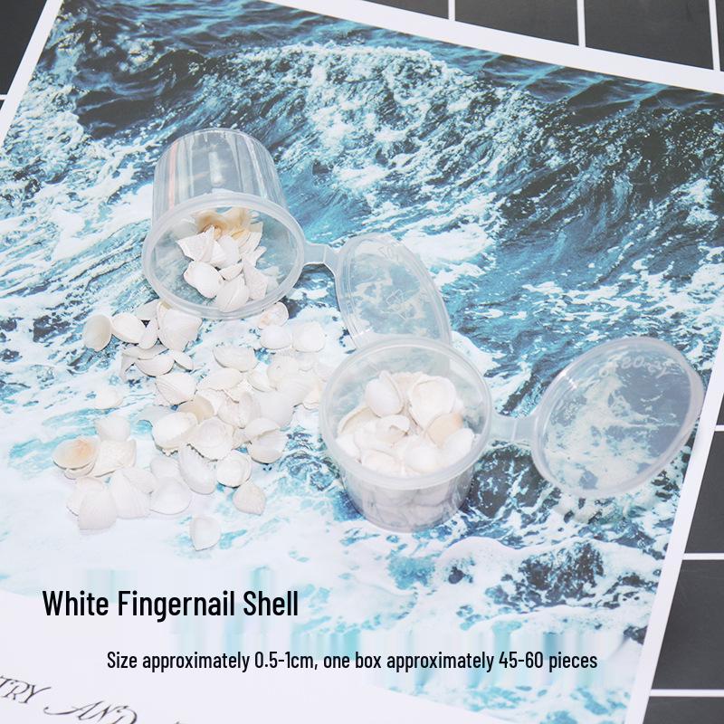 Seashell Conch UV Epoxy Craft Encapsulation Kit