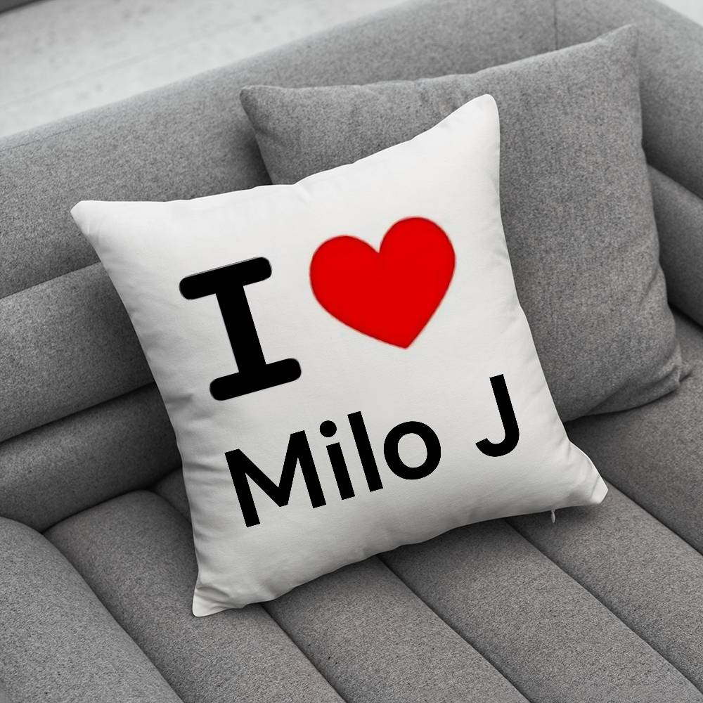 MMilo J 111 Singer pillow cover living room sofa cushion cover bedroom room bed pillow cover home decoration
