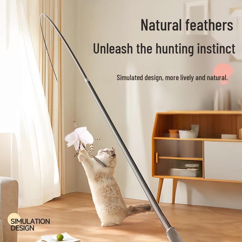 Huanchong Cat Toys Collection