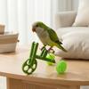 Parrot Training Bicycle, Funny Parrot Bike Training Toy, Creative Green Parrot Training Bike for Birds Intelligent Development