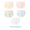 ROSE ISLAND Seamless 3D Seamless Summer Cute and Refreshing Macaron Panties Macaron Women's Panties, 5-Pack, Panties, Women's Underwear, Underwear,