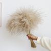High-End Wabi-Sabi Dried Flower Decor: Natural Reeds & Wheat for Living Room or Homestay.
