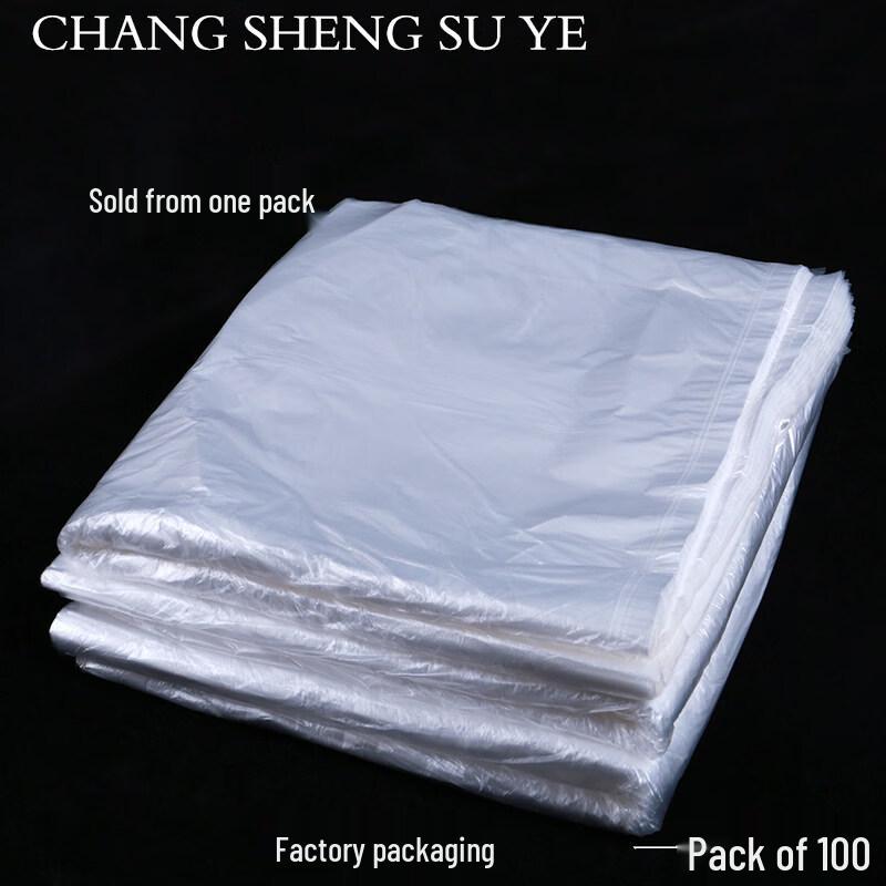Ally Transparent PE Flat Storage Bags