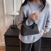 Fashion Versatile Chain Crossbody Mobile Phone Bag Autumn and Winter Nylon Women's Shoulder Pillow Handbag