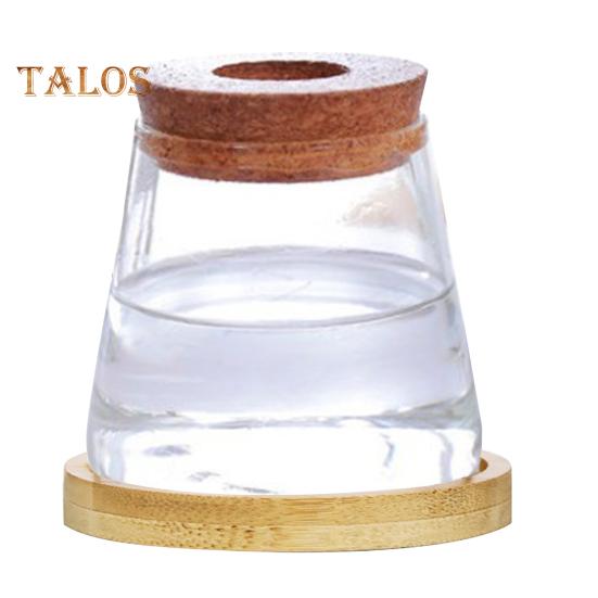 

Станция для размножения растений Стеклянный горшок с крышкой из деревянного поддона Настольная ваза для размножения растений для гидропонных растений Воздушные растения Цветочные черенки H