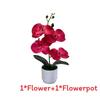 Phalaenopsis Artificial Potted Plant Silk Fabric Material Props Photography