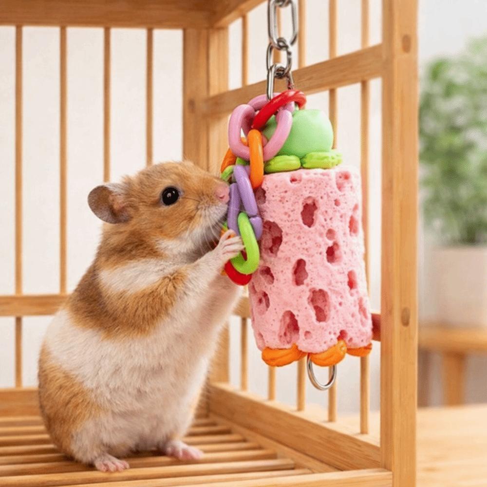 Colorful Parrot Chewing Toys Interactive Hanging Hamster Grinding Stone Bite Resistant Mouth Molar String Parrot Cage