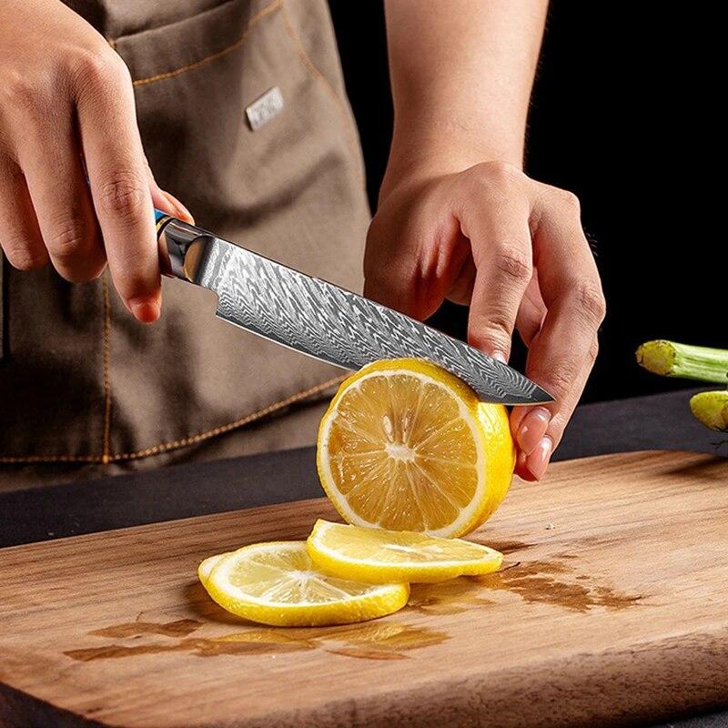 Kitchen Utility Knife 5-inch Damascus Steel Peeling Boning Sharp Knife Slicing Meat Cutting Sharp Sushi Sashimi Chef's Knife