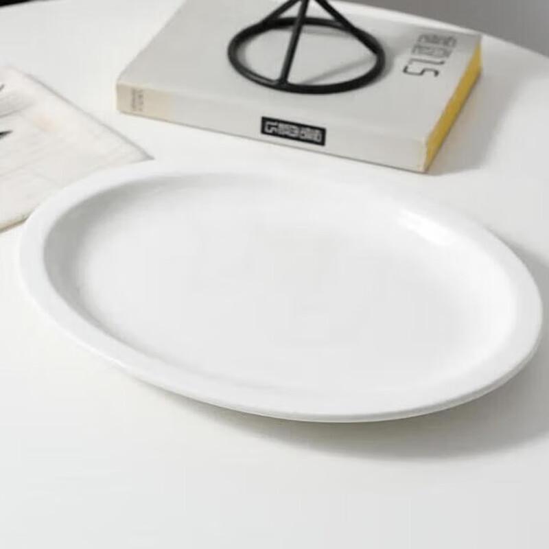 Disposable Sugarcane Pulp Oval Plates (500 Count)