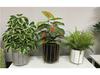 Artificial Bonsai Money Tree with Orange Flowers - Living Room Green Plant Decoration
