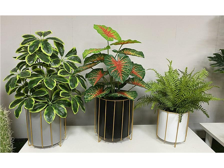 Artificial Bonsai Money Tree with Orange Flowers - Living Room Green Plant Decoration