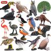 Kids' Bird Model Set: Toucan, Parrot, Ostrich, Peacock, Eagle, Pigeon, Owl.