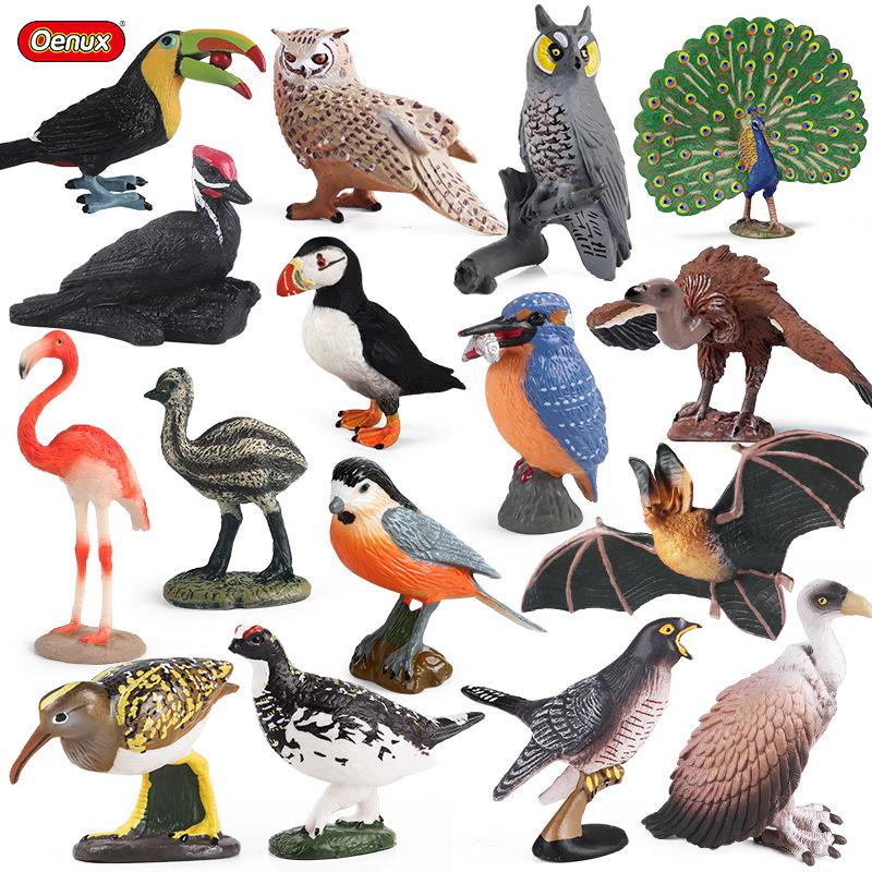 Kids' Bird Model Set: Toucan, Parrot, Ostrich, Peacock, Eagle, Pigeon, Owl.