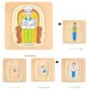 Children 3d Wooden Body Parts Puzzle Toy Anatomy Recognition Brain Development