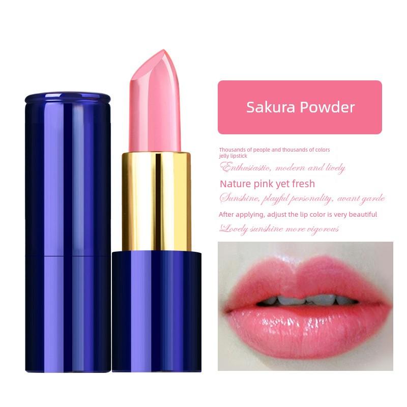 Plain Long Lasting and Does Not Fade Moisturizing and Nourishing Lipstick Lipstick