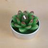 New simulation succulent plant candles, rose candles, 44 product combinations, and special-shaped paraffin candles