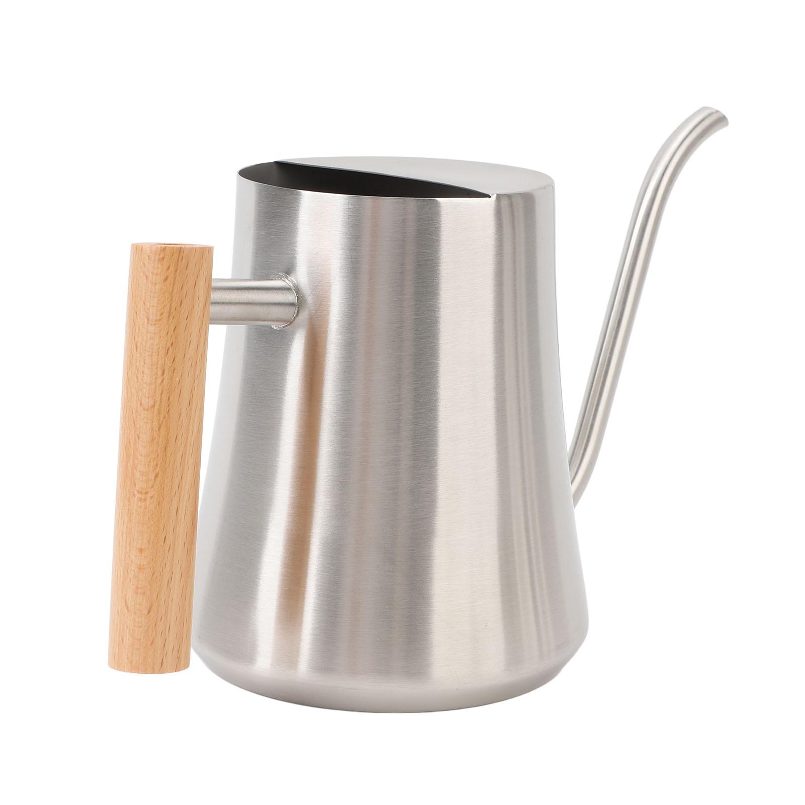 

Indoor Watering Can Stainless Steel Wooden Handle Watering Pot with Spout for House Plants Flowers Succulents Bonsai 1L