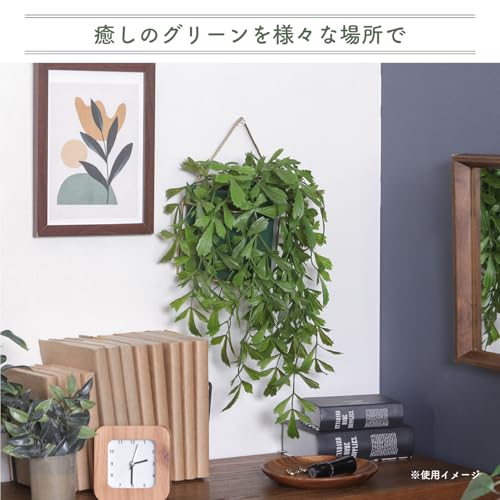 Fuji Boeki Fake Greenery, Artificial Houseplant, Peacock Palm, 26cm Wide X 20cm Deep X 32cm High, Hanging Pot, 41124