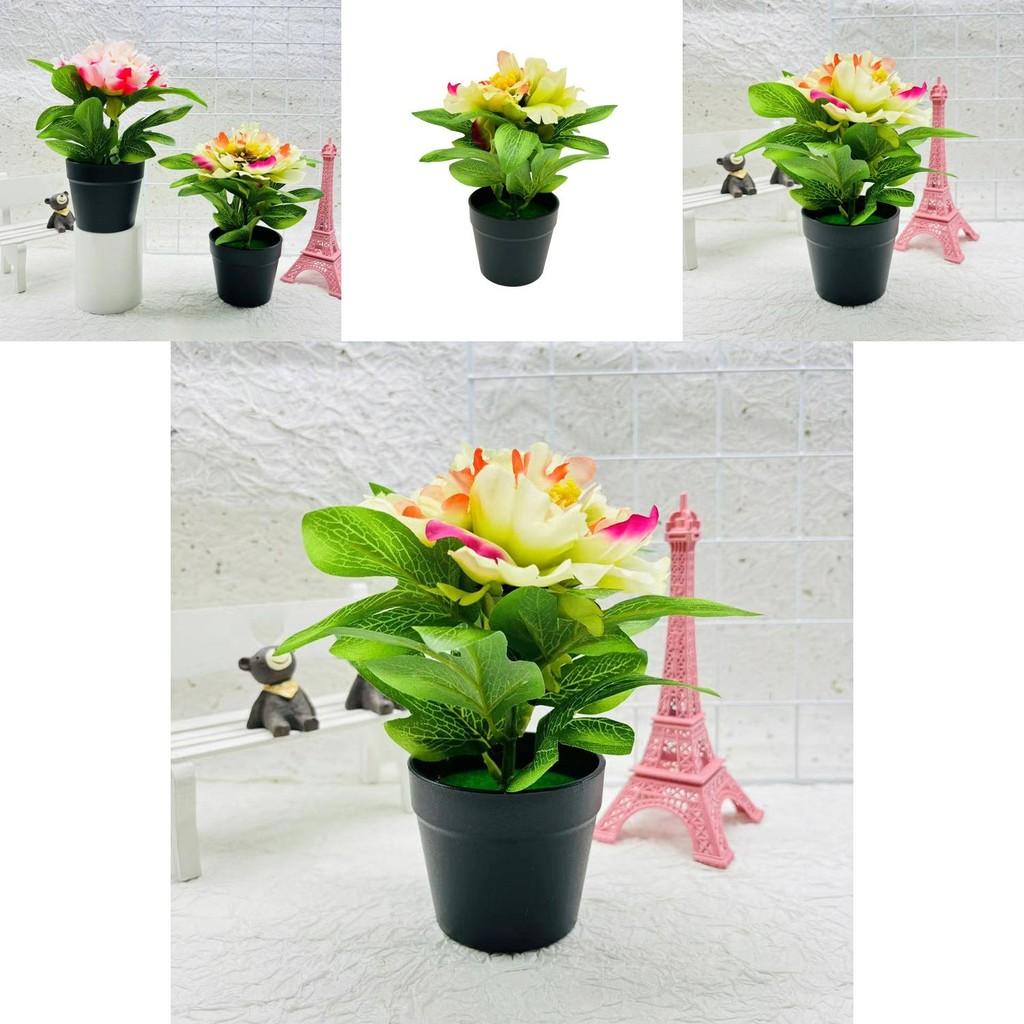 Faux Peony Flower With Silk And Plastic Material For Home Office And Indoor Botanical Decor