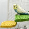 Natural Beak Trimming Bird Perches Durable Cage Toy For Parrots Small Pet Cage Accessories