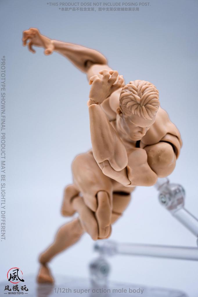 WIND TOYS 1/12 Scale PVC & POM Super Articulated Figure, Male Body, Normal
