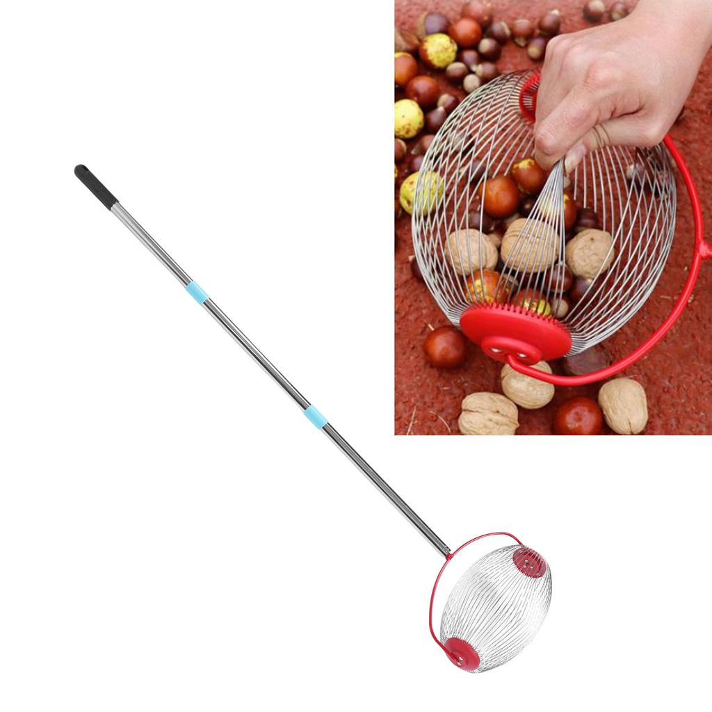 Rolling Nut Gatherer Stainless Steel 44.7 Inch 3 Section Multifunctional Acorn Picker Upper Roller for Pecans Walnuts Outdoor