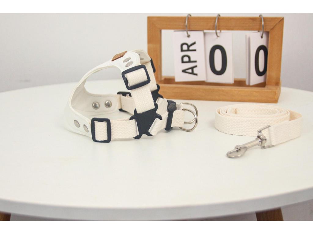 Korean Small Dog PU Leather Harness & Leash for Teddy Bichon