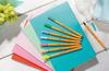 Stylo Feutre - STABILO - F59508 - Pointe Fine - 15 Couleurs Pastel - Étui Carton