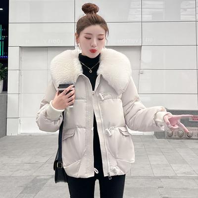 Mäntel & Jacken – Daunenjacken