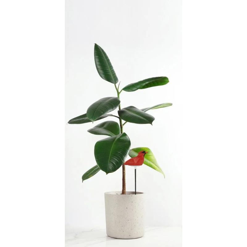 Plant Watering Alarm Water Tester Hygrometer Sensor Gardening Tool Kit Planter Water Remind Warning Alert Content