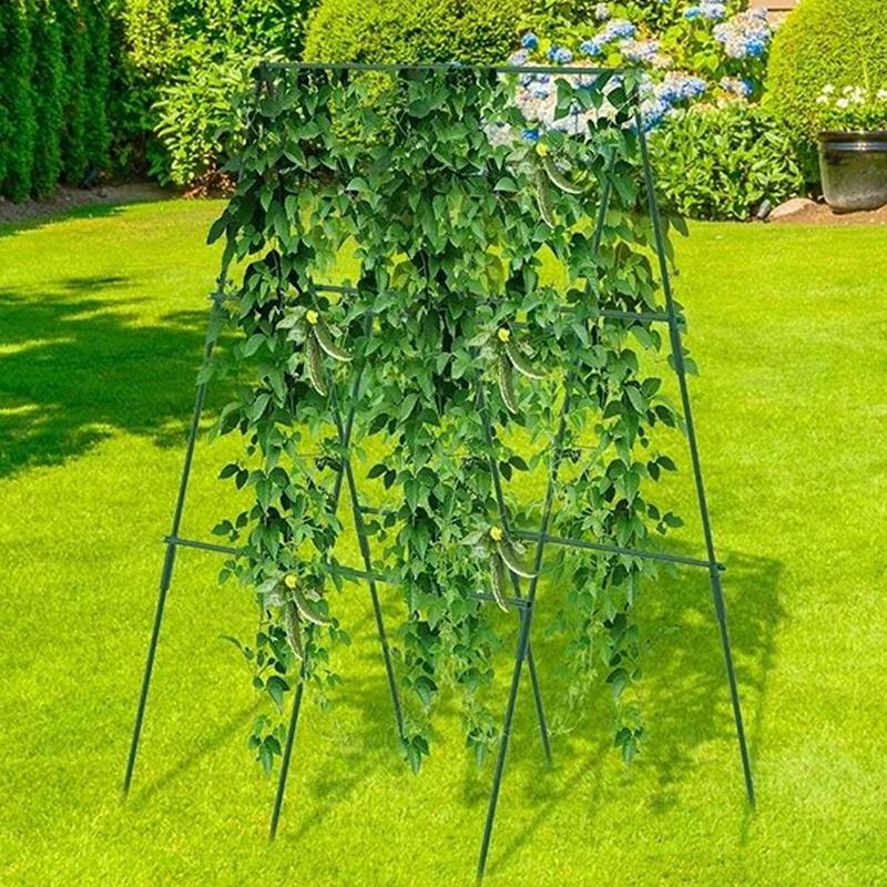 Garden Cucumber Trellis Fruits Vegetable Growing Support Rack for Outdoor Climbing Grape Pea Bean Tomato Cucumber