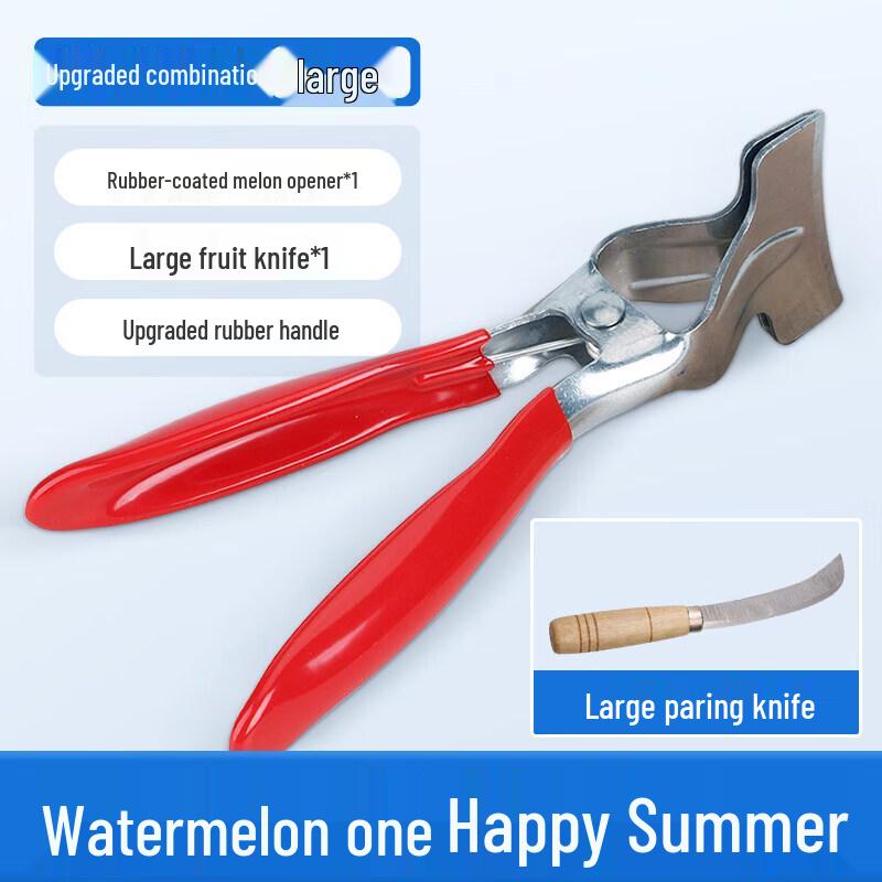 Stainless Steel Watermelon Slicer