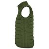 Womens/Ladies Oslo Gilet