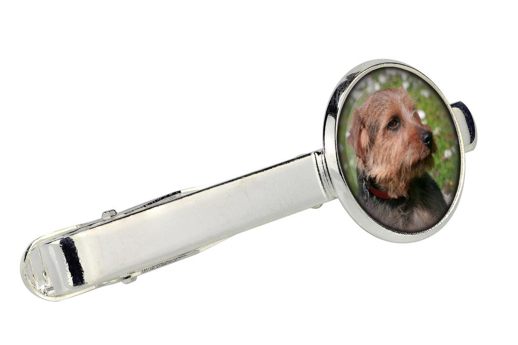 Norfolk Terrier - tie clip in a box, stylish tie, personalized jewelry from the Art-Dog brand