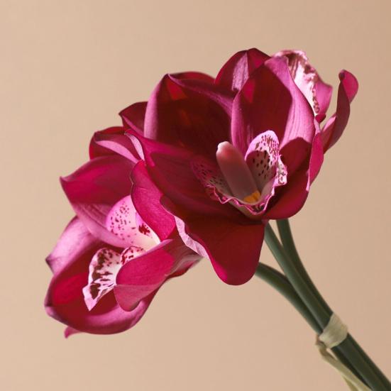 4 Bundles Artificial Phalaenopsis Flower Real Touch Large Fake Orchids Flowers Stem for Vase Home Wedding Party Decor
