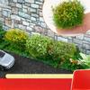 6Pcs Multicolor Flower Cluster Sand Tray Model DIY Mini Fairy Garden Micro Landscape Decor Shrubs Grass Layout Static Scene