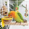 Interactive Bird Cage Feeder Wear-resistant Bird Perch Stand Parrot Wood Perch  Exercise
