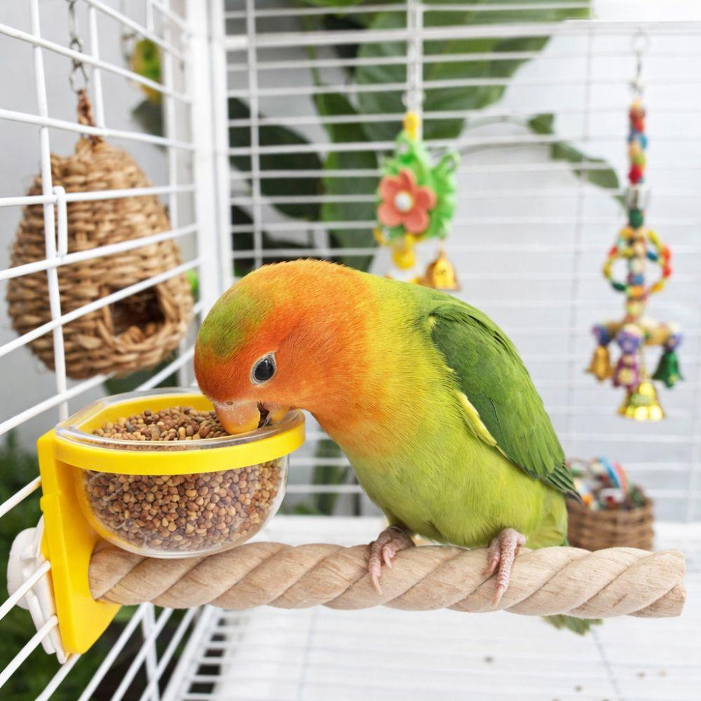 Interactive Bird Cage Feeder Wear-resistant Bird Perch Stand Parrot Wood Perch Exercise