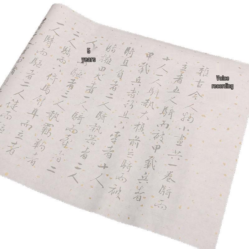 Wen Zhengming Small Regular Script Brush Pen Copybook on Semi-ripe Xuan Paper
