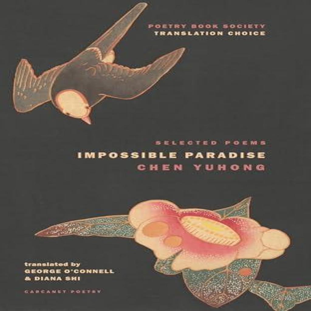 Impossible Paradise by Yuhong Chen Paperback Book 9781800175365