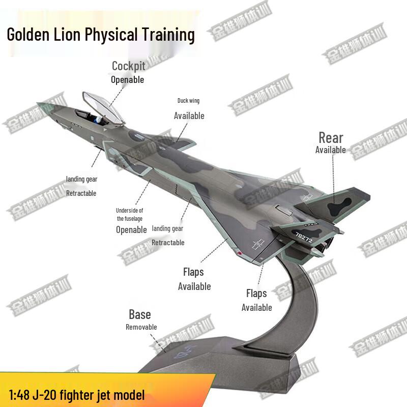 Jinsun 1:48 J-20 Stealth Fighter Model